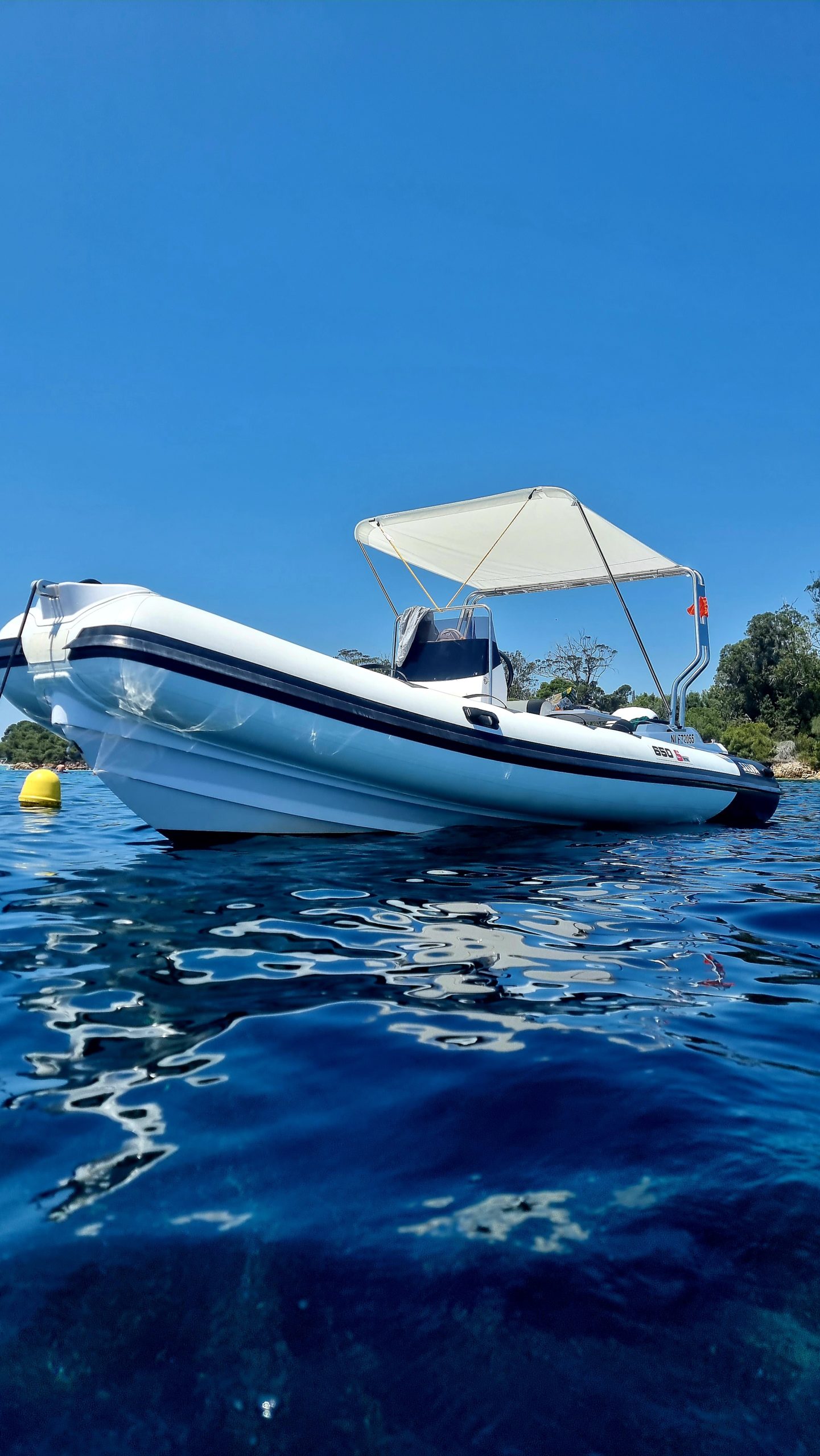 Selva Marine D 650